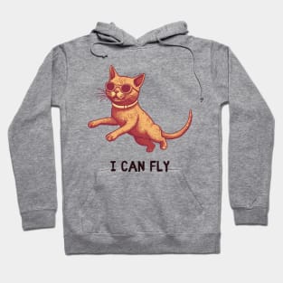 Cat I can fly Hoodie